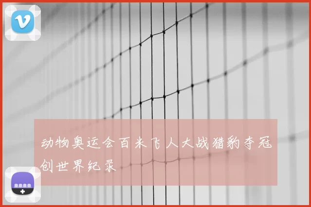动物奥运会百米飞人大战猎豹夺冠创世界纪录
