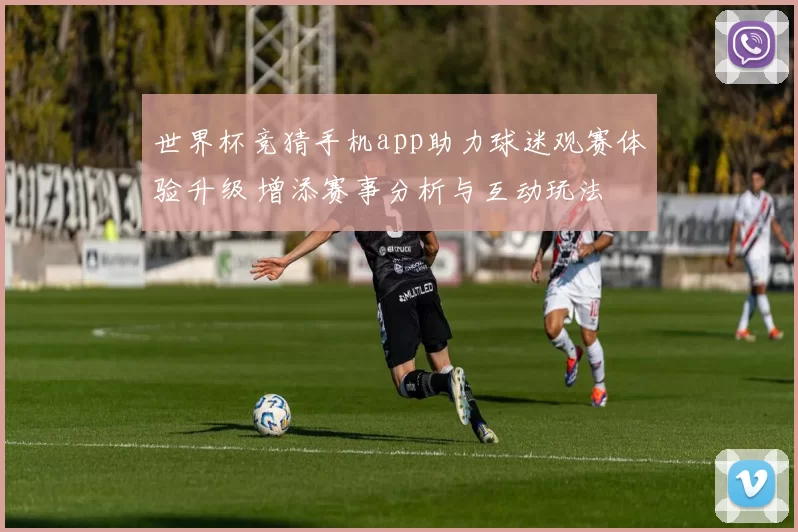 世界杯竞猜手机app助力球迷观赛体验升级 增添赛事分析与互动玩法